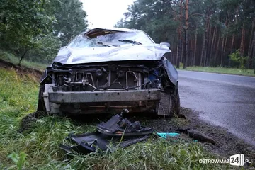 Następne zdjęcie
