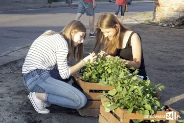 Poprzednie zdjęcie