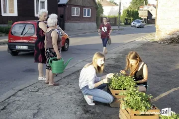 Następne zdjęcie