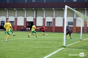 Następne zdjęcie