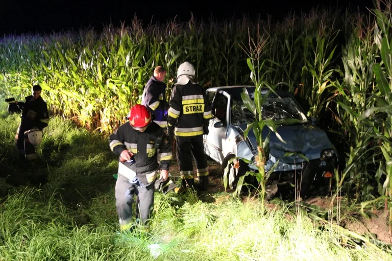 Kolejny pijany kierowca skończył w przydrożnym rowie