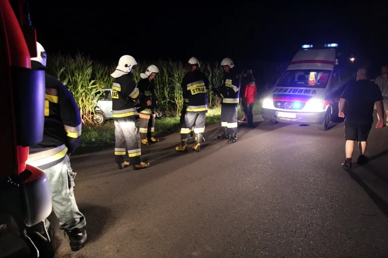 Kolejny pijany kierowca skończył w przydrożnym rowie