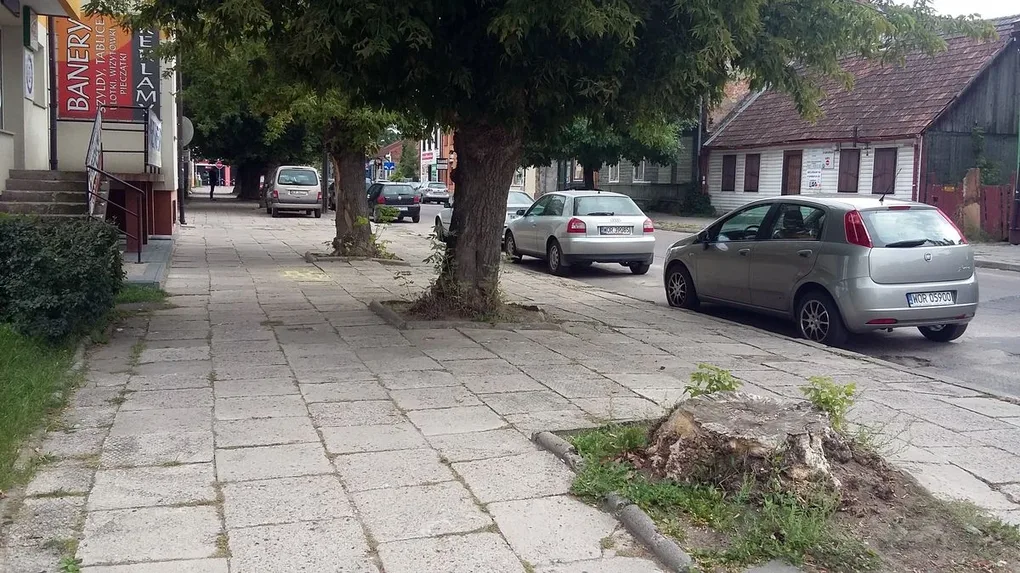 Skrzynka skarg: brak śmietnika przy ul. Batorego