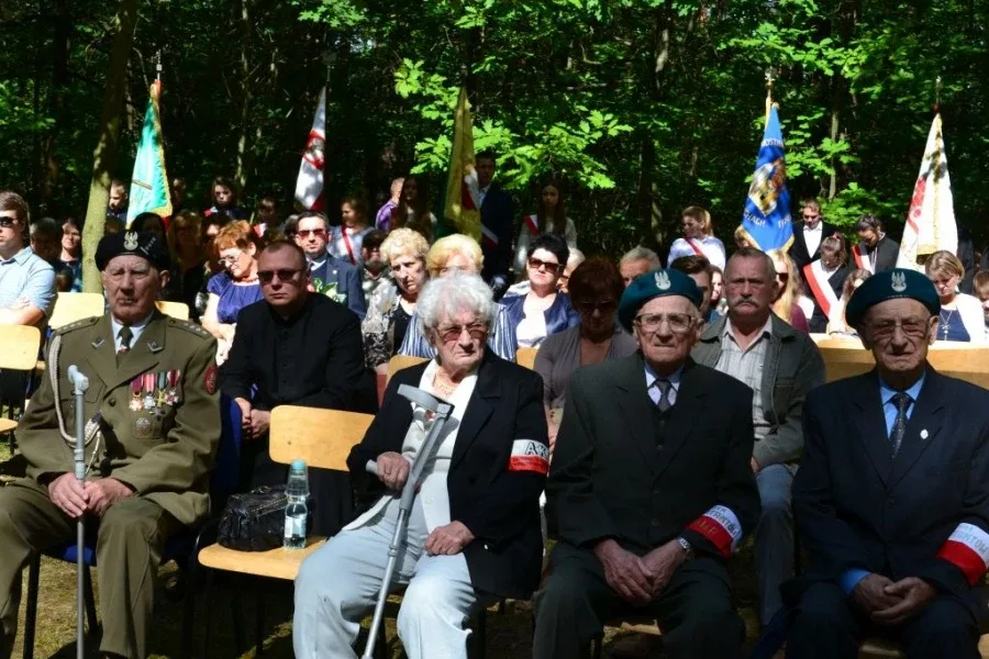 72. rocznica bitwy pod Pecynką (zdjęcia)
