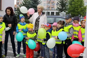 Następne zdjęcie