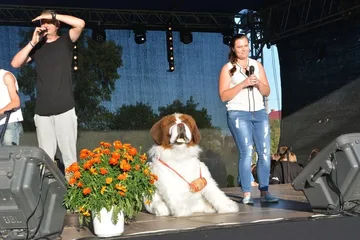 Poprzednie zdjęcie
