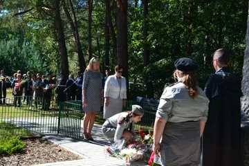 Poprzednie zdjęcie