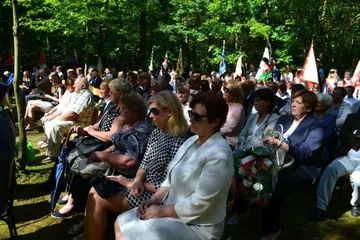 Poprzednie zdjęcie