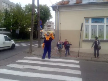 Następne zdjęcie