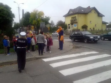 Następne zdjęcie
