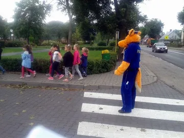 Następne zdjęcie