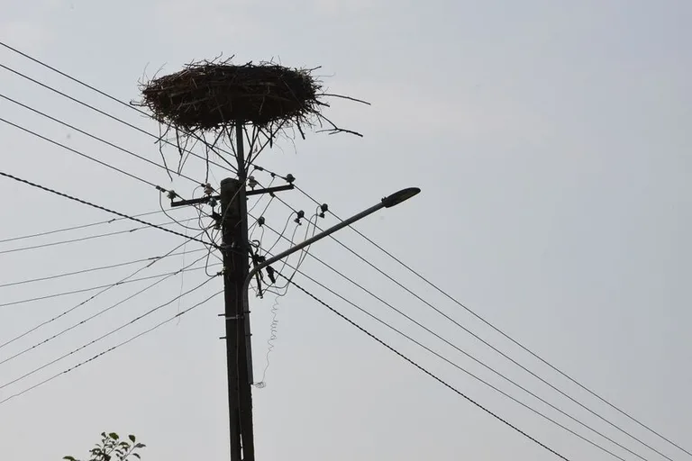 Budżet w wiejskim wydaniu (zdjęcia)