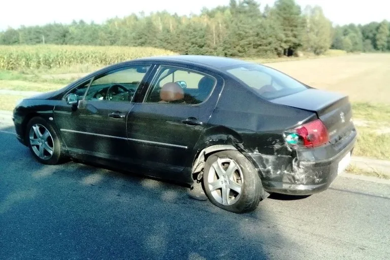 Karambol na drodze wojewódzkiej nr 677 (zdjęcia)