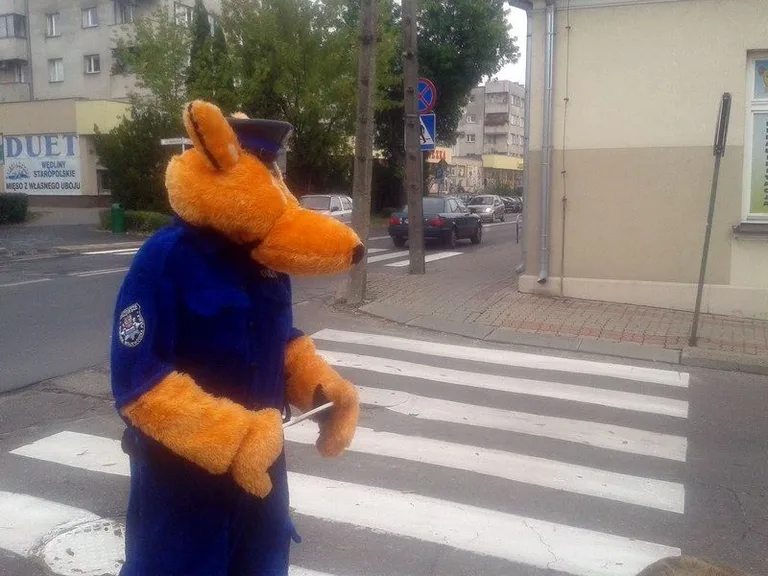 Policjanci z wizytą u pierwszoklasistów (zdjęcia)