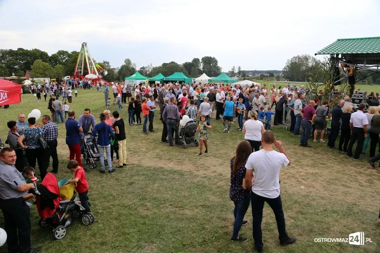 Jarmarki Czerwińskie i Dni Kukurydzy (zdjęcia, wideo)