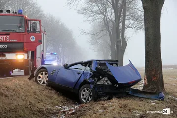 Poprzednie zdjęcie