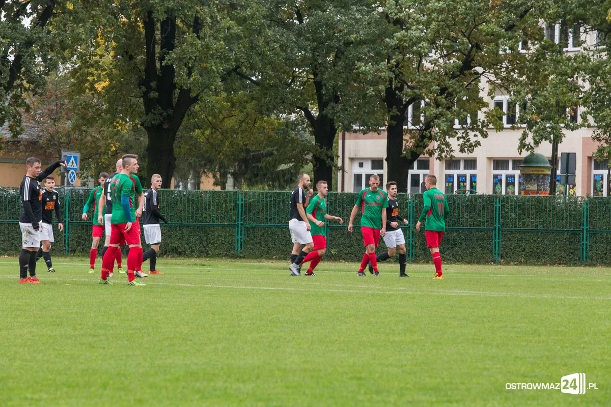 Ostrovia bezradna w starciu ze Żbikiem (zdjęcia, wideo)