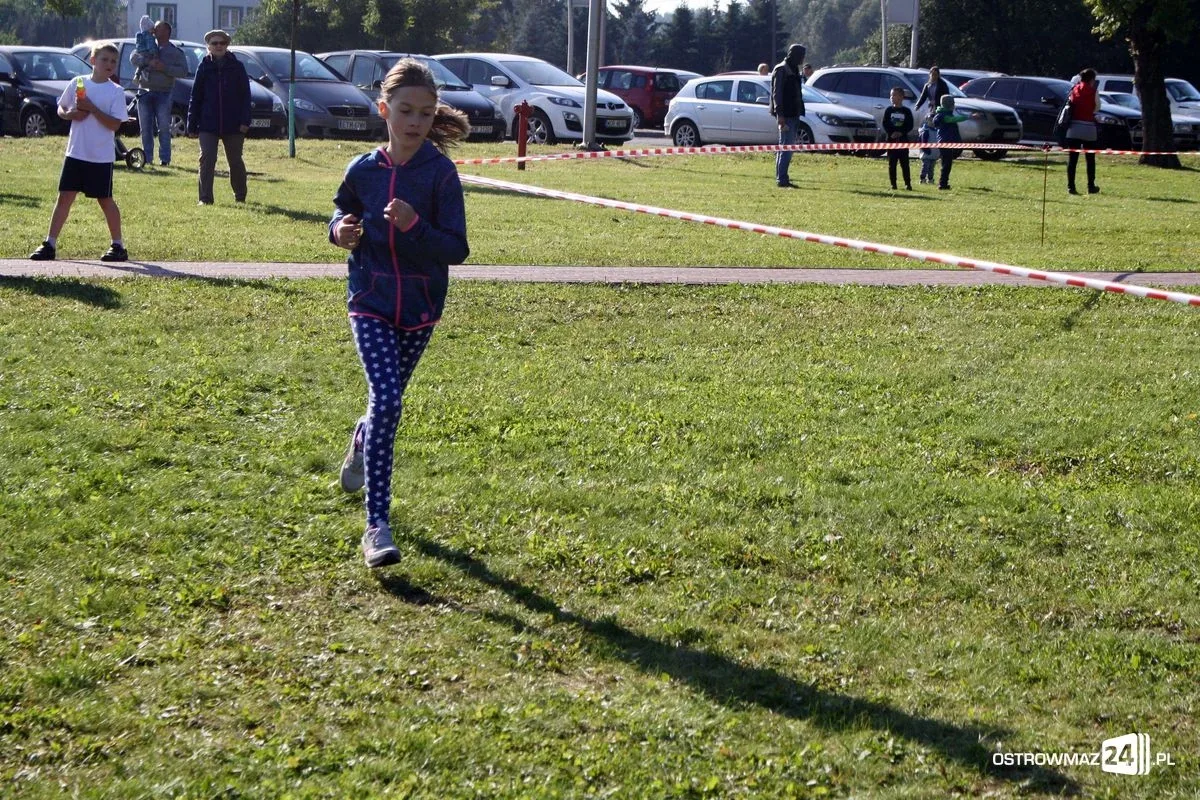 Szkolne mistrzostwa miasta w indywidualnych biegach przełajowych (zdjęcia)