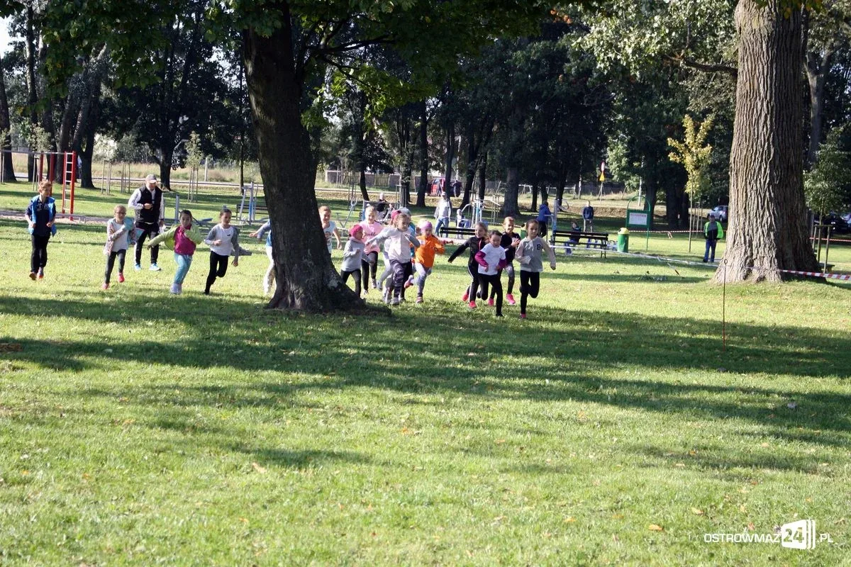 Szkolne mistrzostwa miasta w indywidualnych biegach przełajowych (zdjęcia)