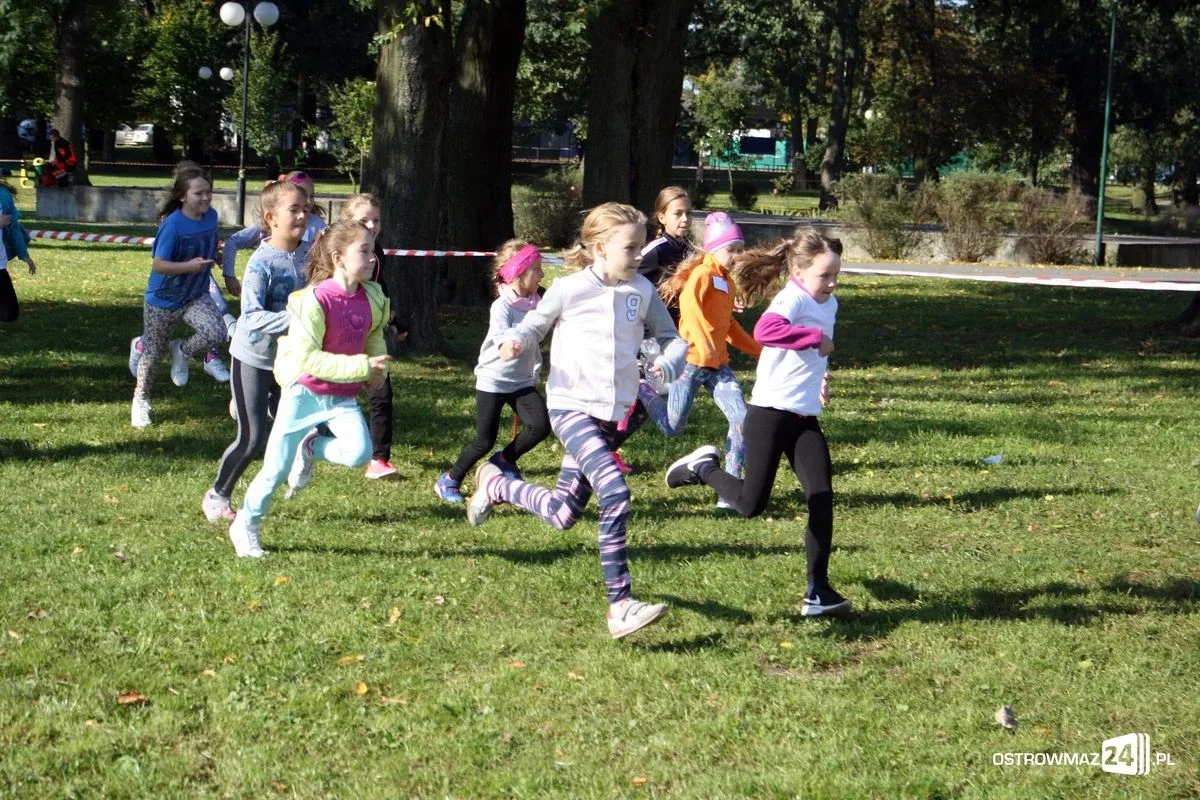 Szkolne mistrzostwa miasta w indywidualnych biegach przełajowych (zdjęcia)