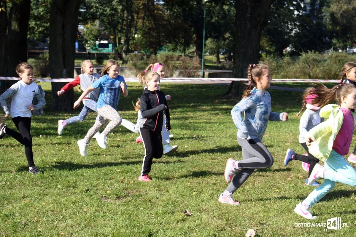 Szkolne mistrzostwa miasta w indywidualnych biegach przełajowych (zdjęcia)