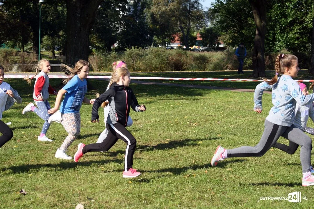 Szkolne mistrzostwa miasta w indywidualnych biegach przełajowych (zdjęcia)