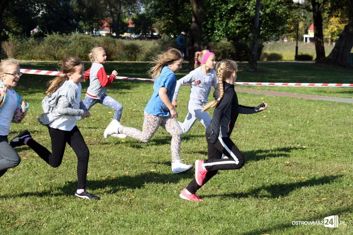 Szkolne mistrzostwa miasta w indywidualnych biegach przełajowych (zdjęcia)