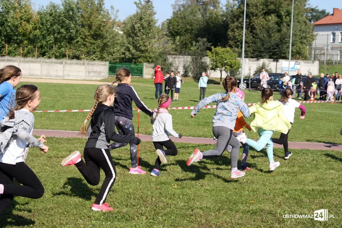 Szkolne mistrzostwa miasta w indywidualnych biegach przełajowych (zdjęcia)
