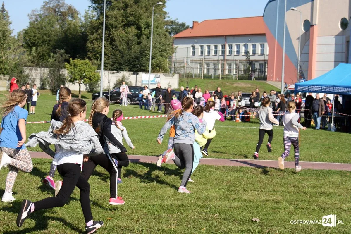 Szkolne mistrzostwa miasta w indywidualnych biegach przełajowych (zdjęcia)