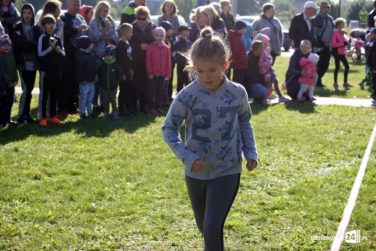 Szkolne mistrzostwa miasta w indywidualnych biegach przełajowych (zdjęcia)