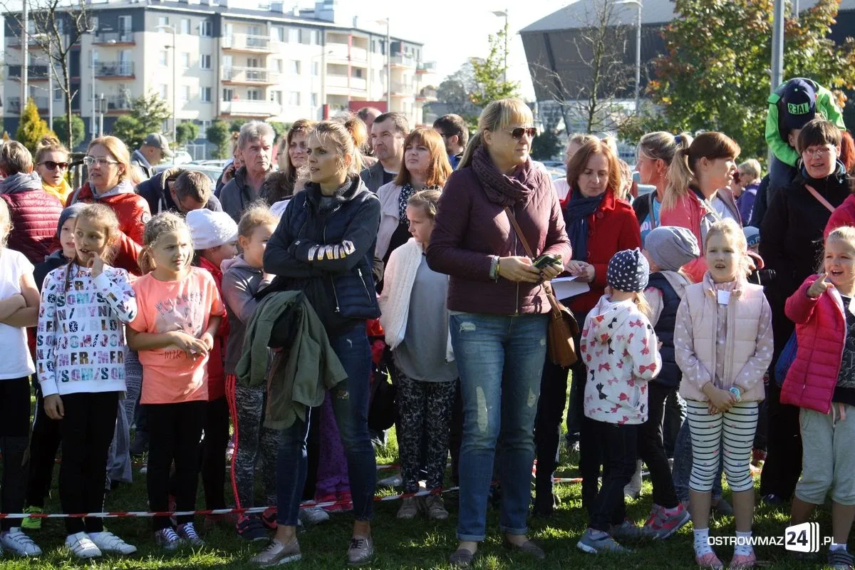 Szkolne mistrzostwa miasta w indywidualnych biegach przełajowych (zdjęcia)