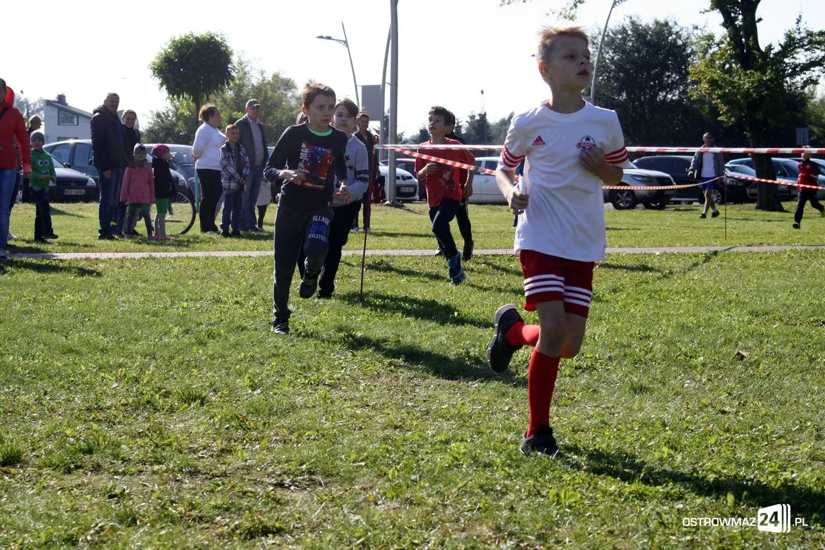 Szkolne mistrzostwa miasta w indywidualnych biegach przełajowych (zdjęcia)