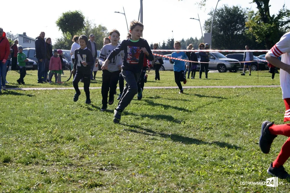 Szkolne mistrzostwa miasta w indywidualnych biegach przełajowych (zdjęcia)