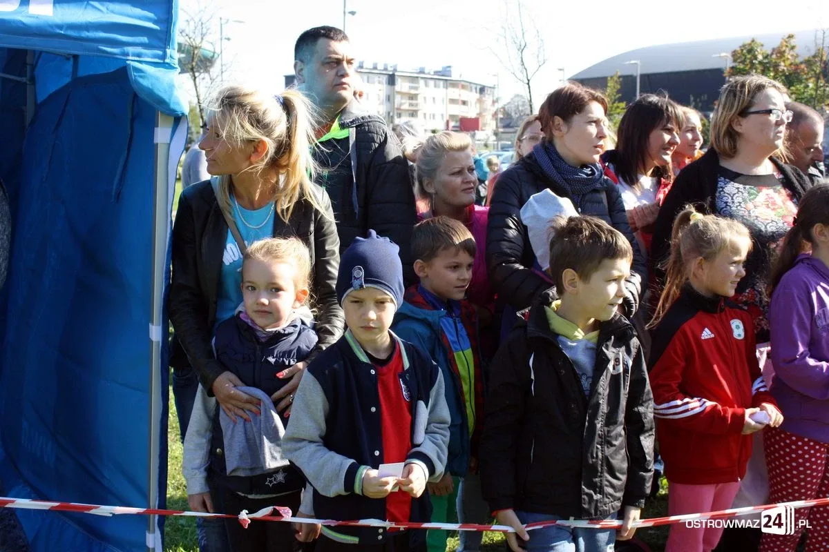 Szkolne mistrzostwa miasta w indywidualnych biegach przełajowych (zdjęcia)
