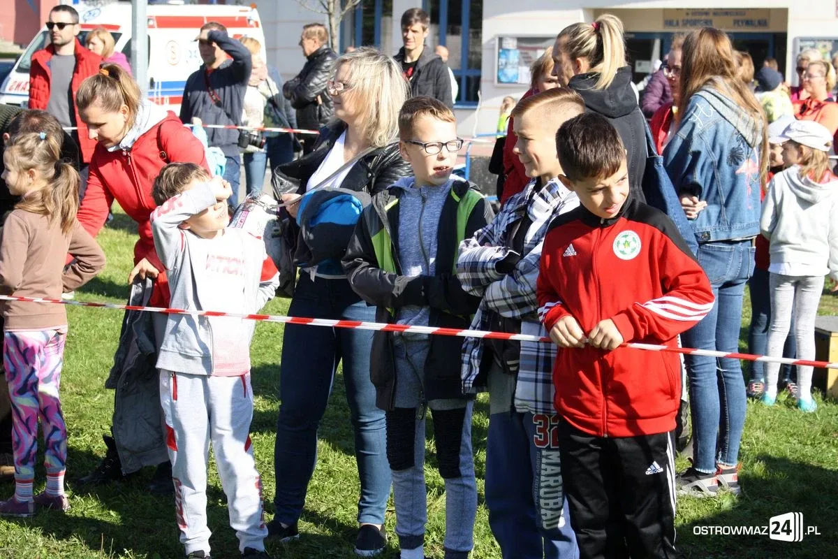 Szkolne mistrzostwa miasta w indywidualnych biegach przełajowych (zdjęcia)
