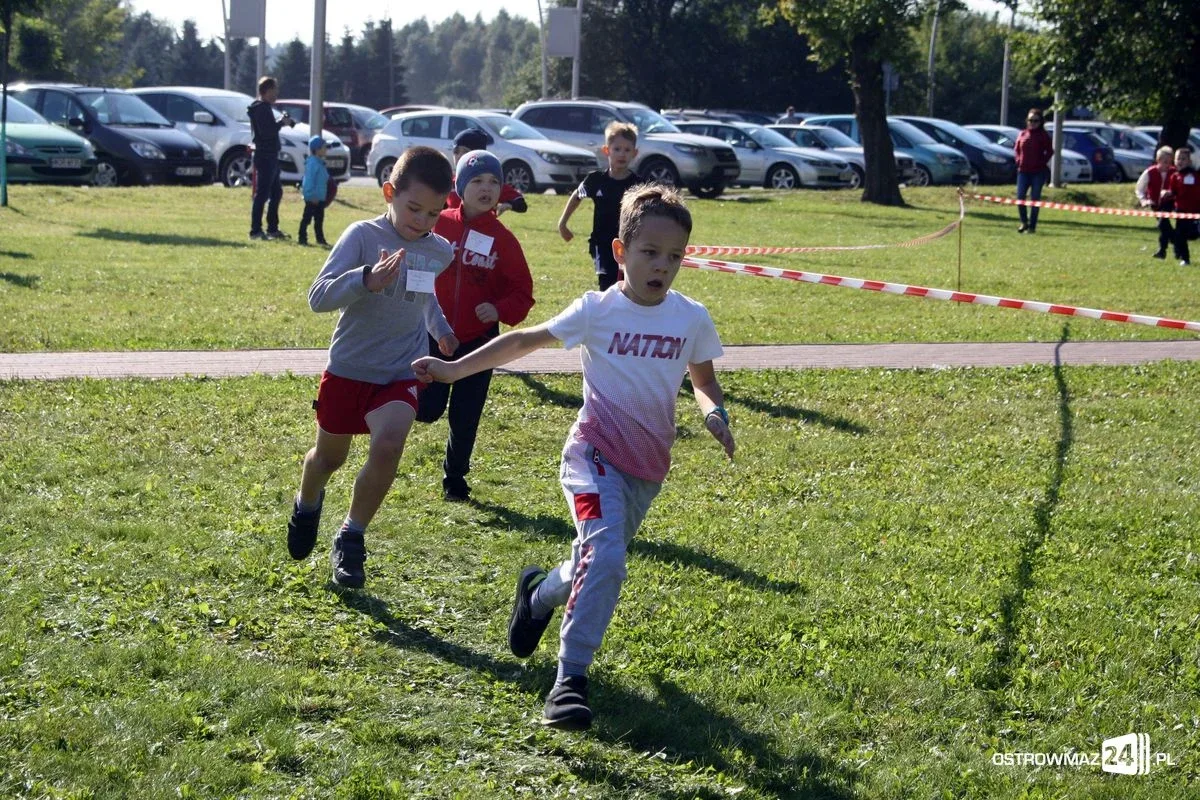 Szkolne mistrzostwa miasta w indywidualnych biegach przełajowych (zdjęcia)