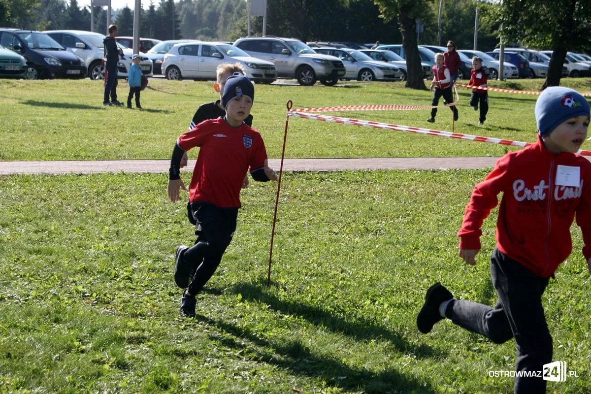 Szkolne mistrzostwa miasta w indywidualnych biegach przełajowych (zdjęcia)