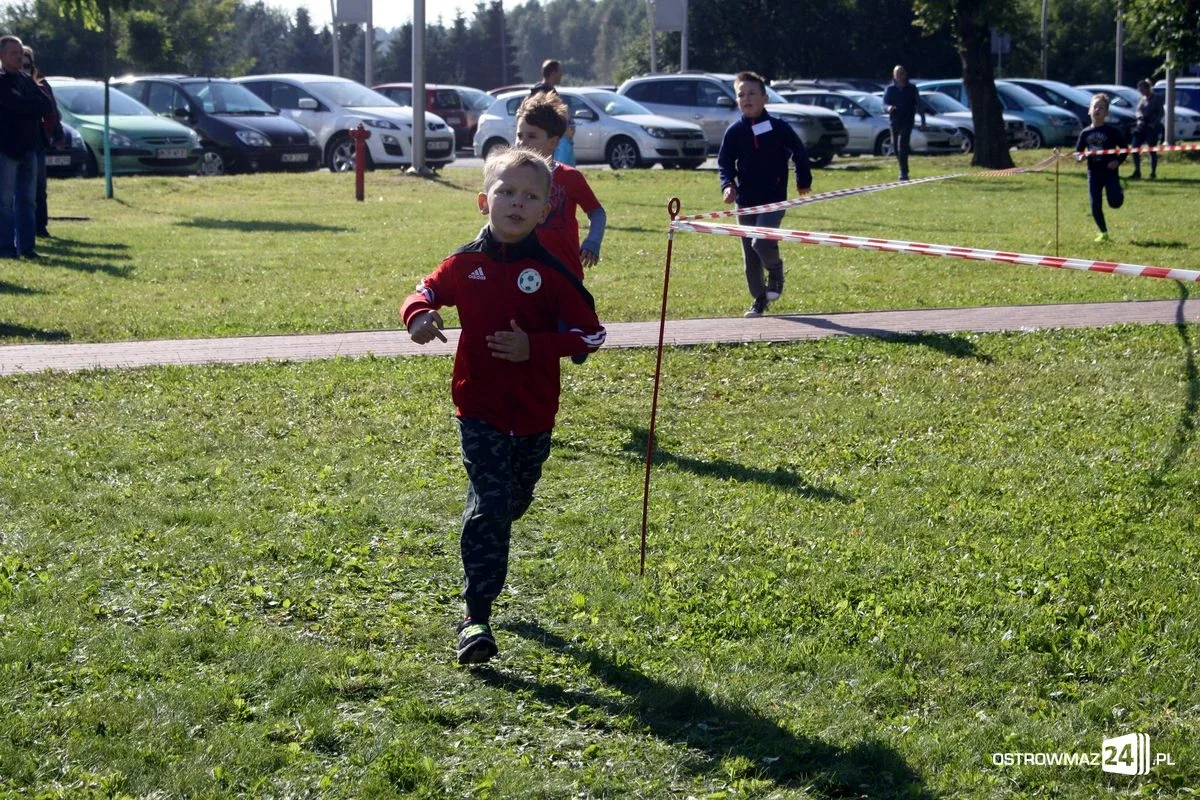 Szkolne mistrzostwa miasta w indywidualnych biegach przełajowych (zdjęcia)