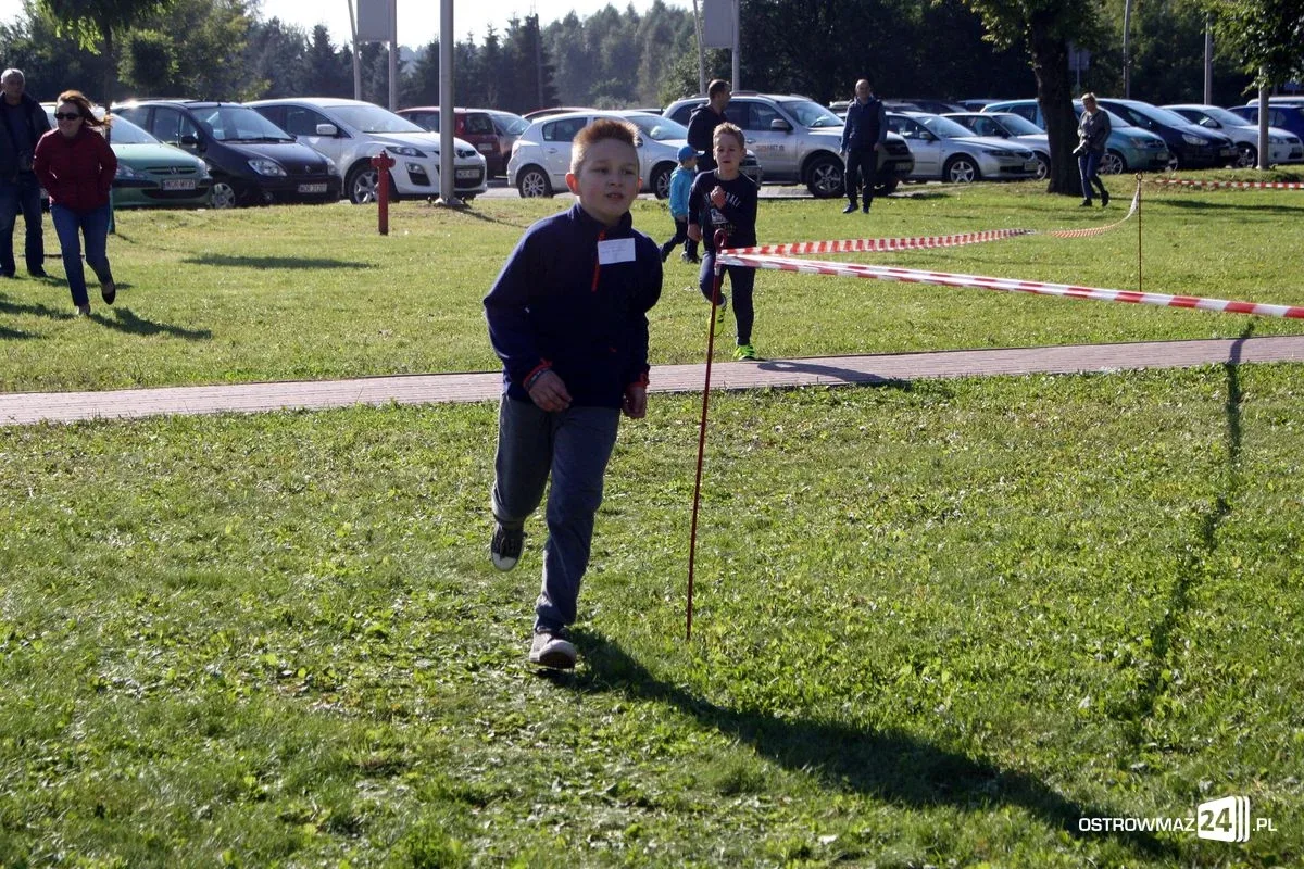 Szkolne mistrzostwa miasta w indywidualnych biegach przełajowych (zdjęcia)