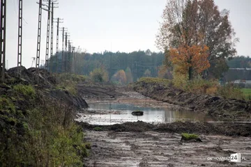 Poprzednie zdjęcie