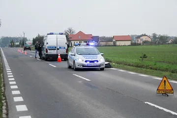 Następne zdjęcie