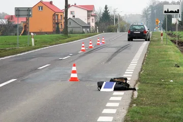 Następne zdjęcie