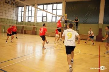 Następne zdjęcie