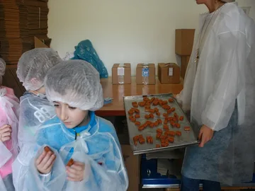Poprzednie zdjęcie