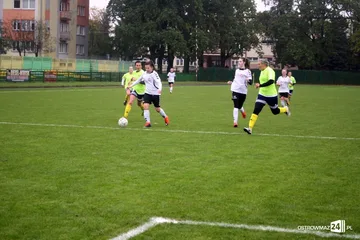 Następne zdjęcie