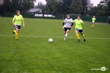 Poprzednie zdjęcie
