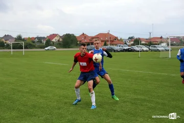 Poprzednie zdjęcie