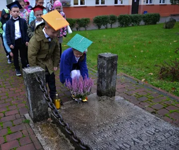 Następne zdjęcie