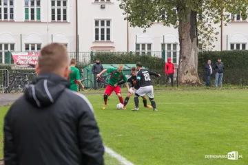 Poprzednie zdjęcie
