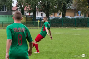 Następne zdjęcie